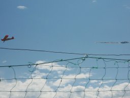 120708-mfg-tag-der-offenen-tuer-melissa-01934