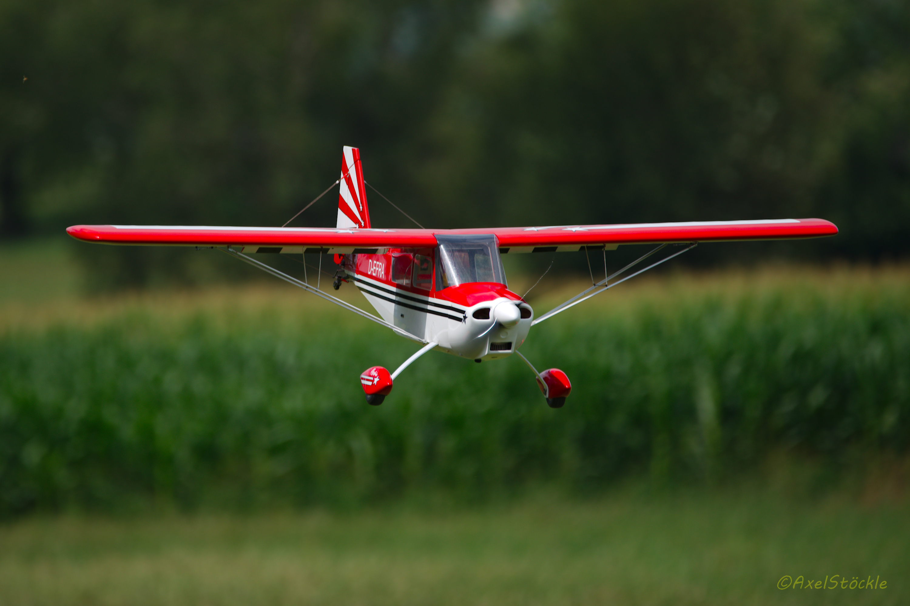 Flächenmodelle – Die Vielfalt des klassischen Modellflugs